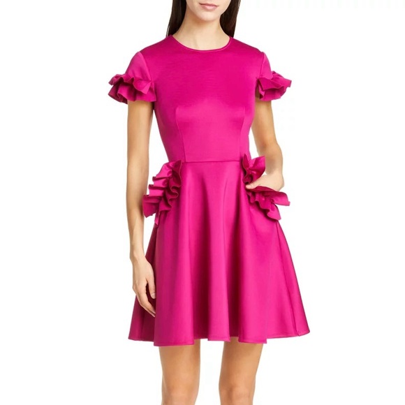 Ted Baker Dresses & Skirts - Ted Baker Magenta Ruffle Skater Formal Dress
